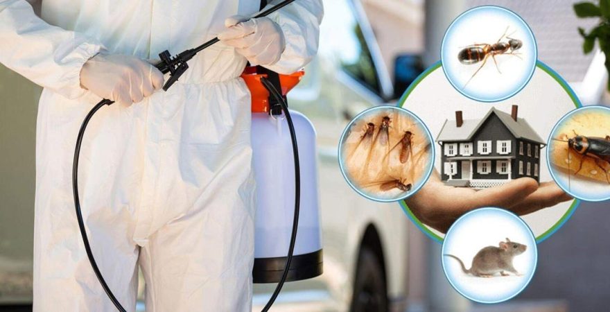 Gölova Böcek İlaçlama